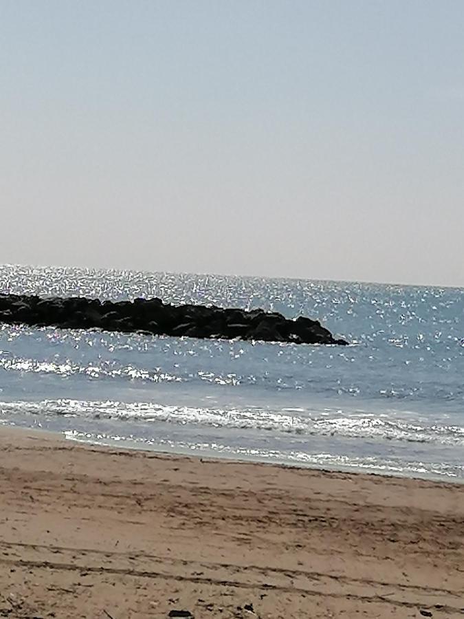 Studio Cabine Valras Plage 300M De La Mer Zewnętrze zdjęcie